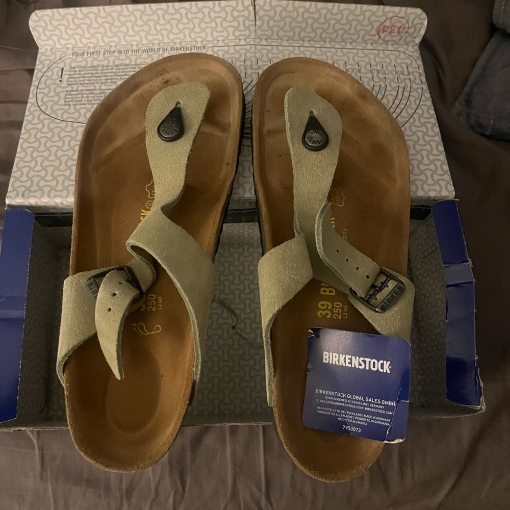 Birkenstock Light Green/Sage/Tan Sandals